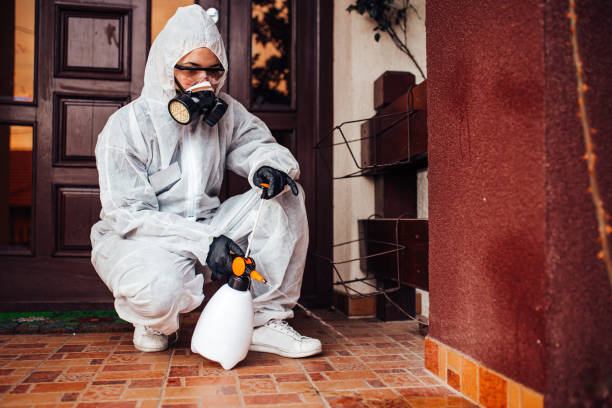 Reliable Wasp Removal contractor in Norwood, OH by Show Me Pest Control